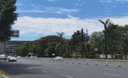 華燈何處有，把酒問宜賓