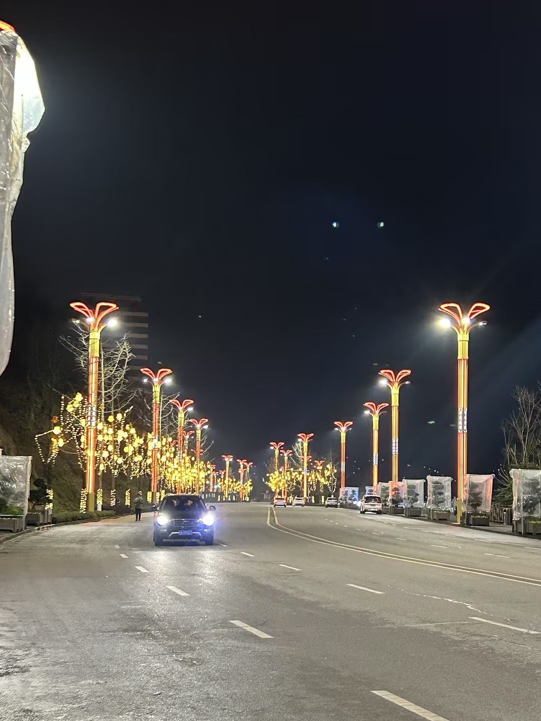 四川廣安 | 嘉陵江畔，銀杏之光舞動武勝之夜